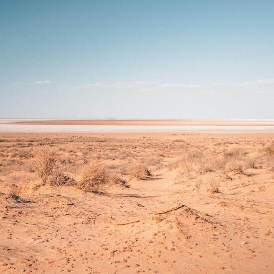 Dürre in Südaustralien - Wenn extreme Wetterphänomene zur Norm werden